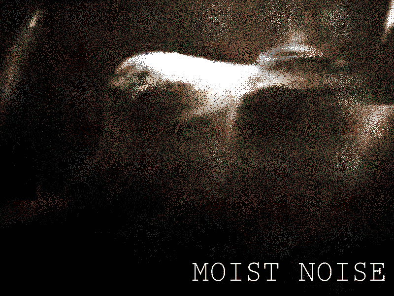 moistnoise